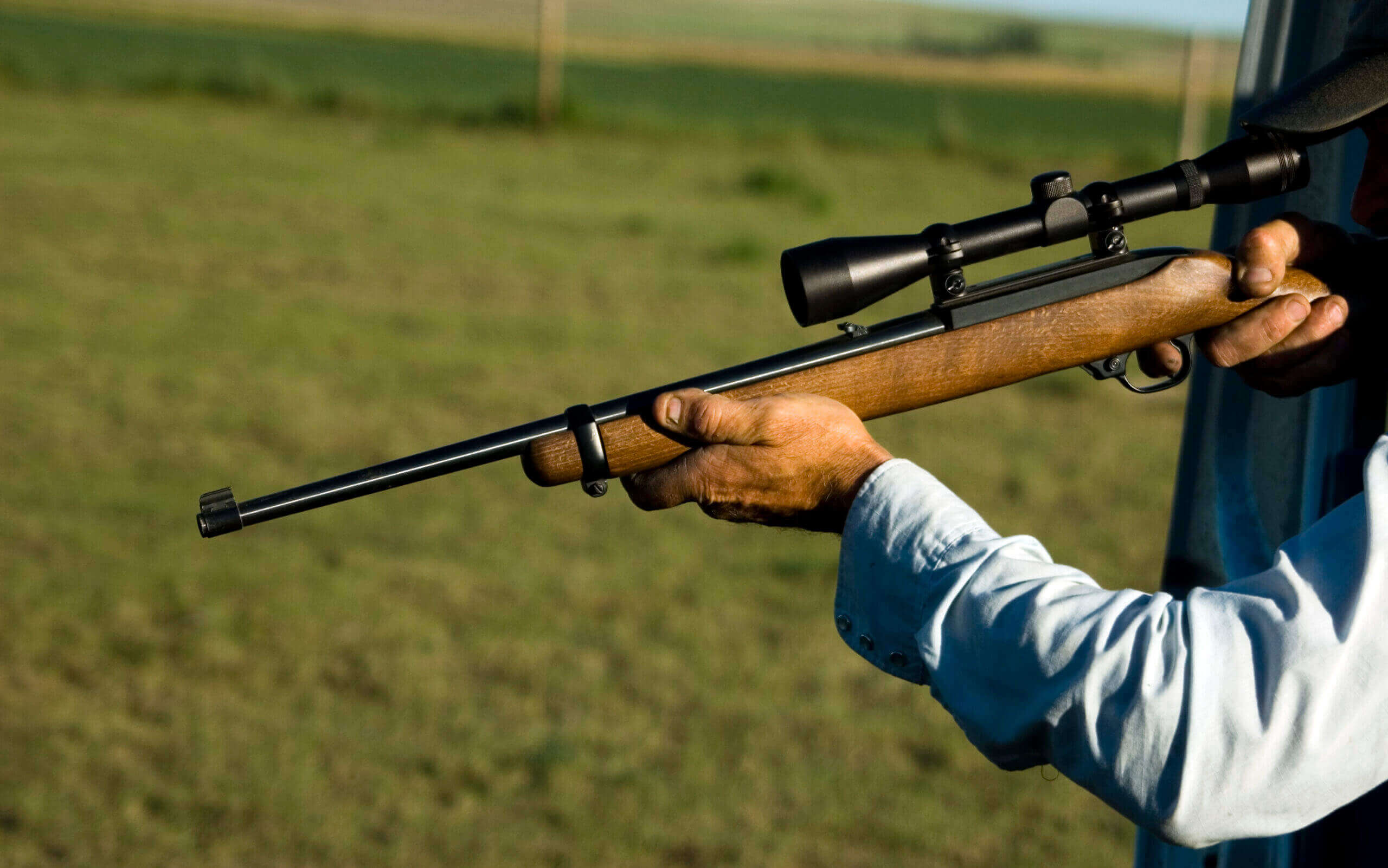 Ruger 10/22 Performance Enhancements and Modifications